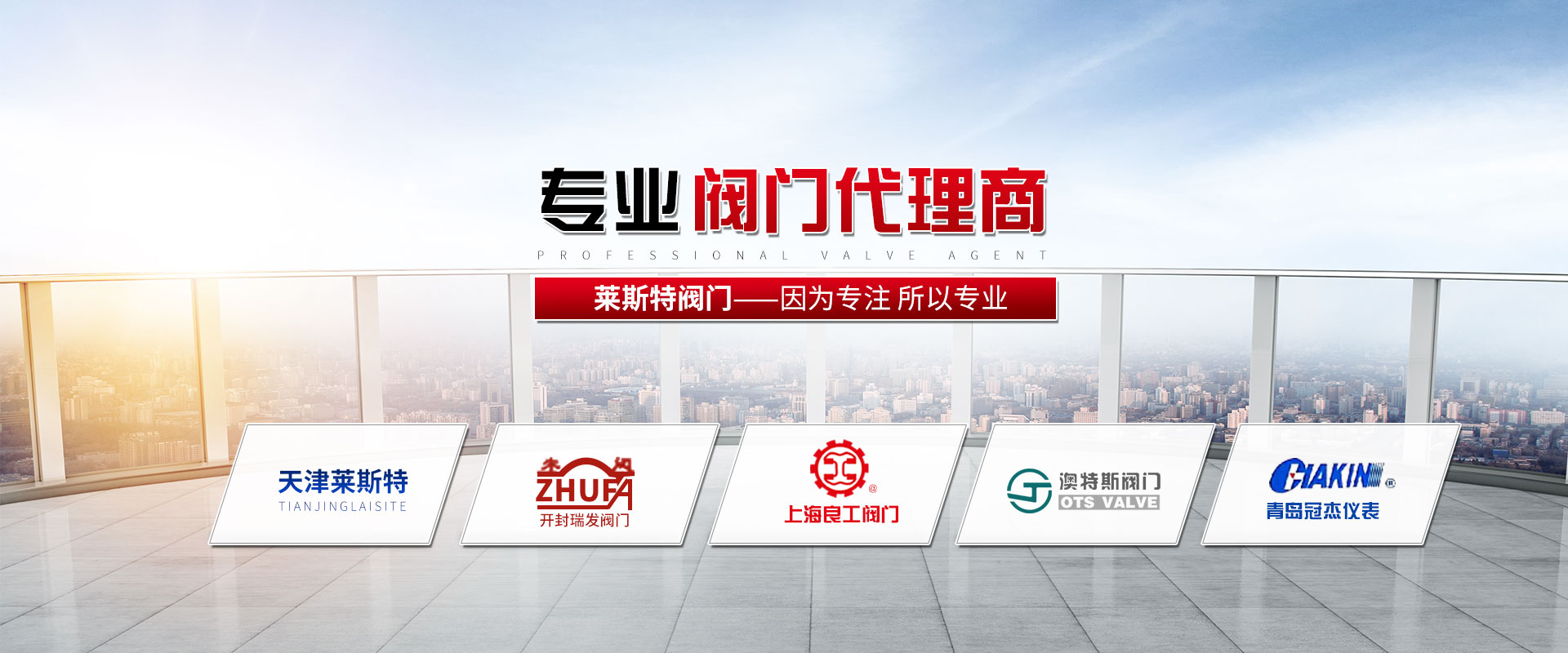 專(zhuān)業(yè)閥門(mén)生產(chǎn)廠(chǎng)家